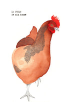 Illustration d’une poule rouge, détail de tête et plumage, fond clair.