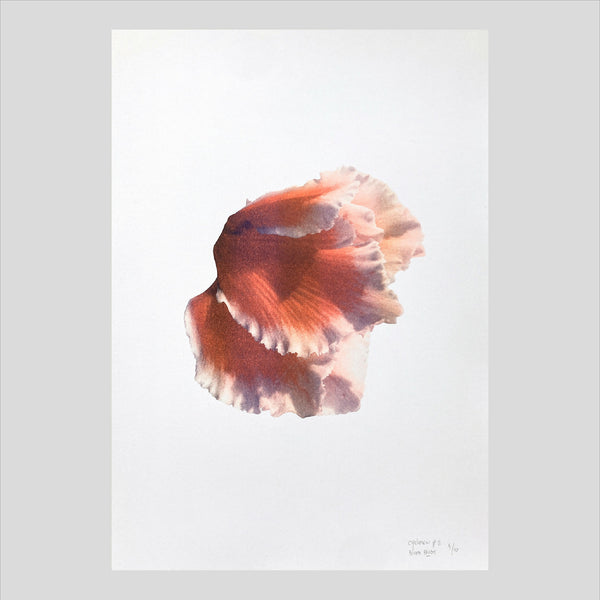 Affiche A3 cyclamen à l’aquarelle, fleur en tons orange et rose, style riso.