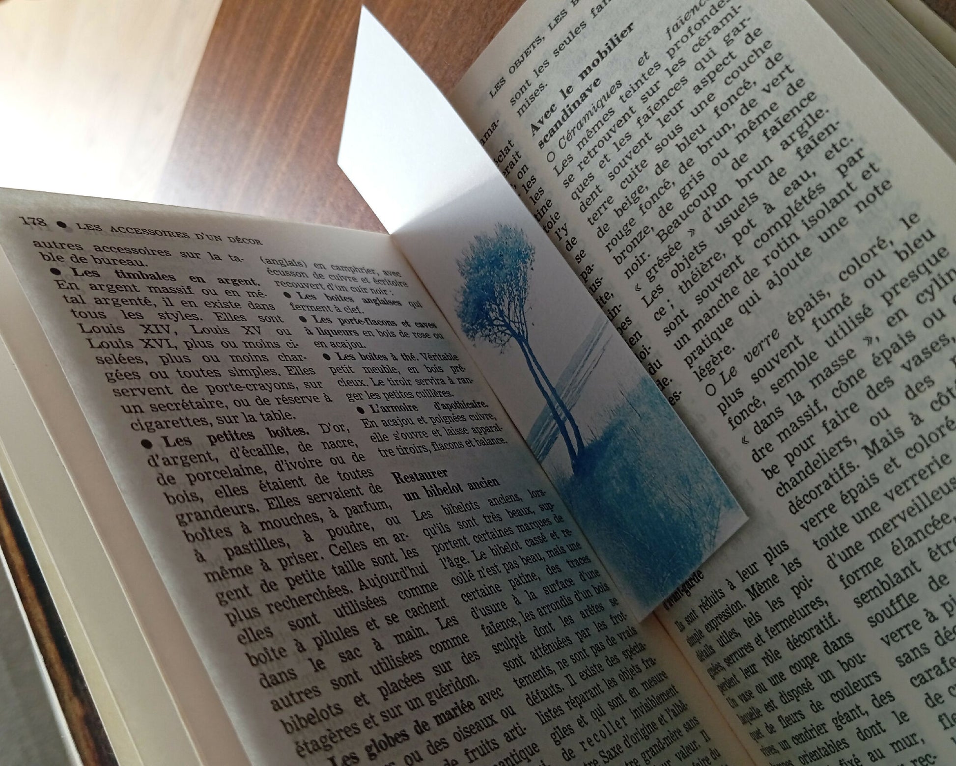 marque-page cyanotype fanette bruel