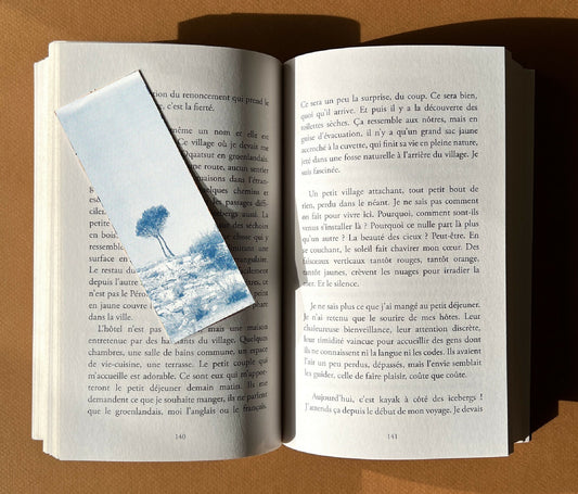marque-page cyanotype fanette bruel