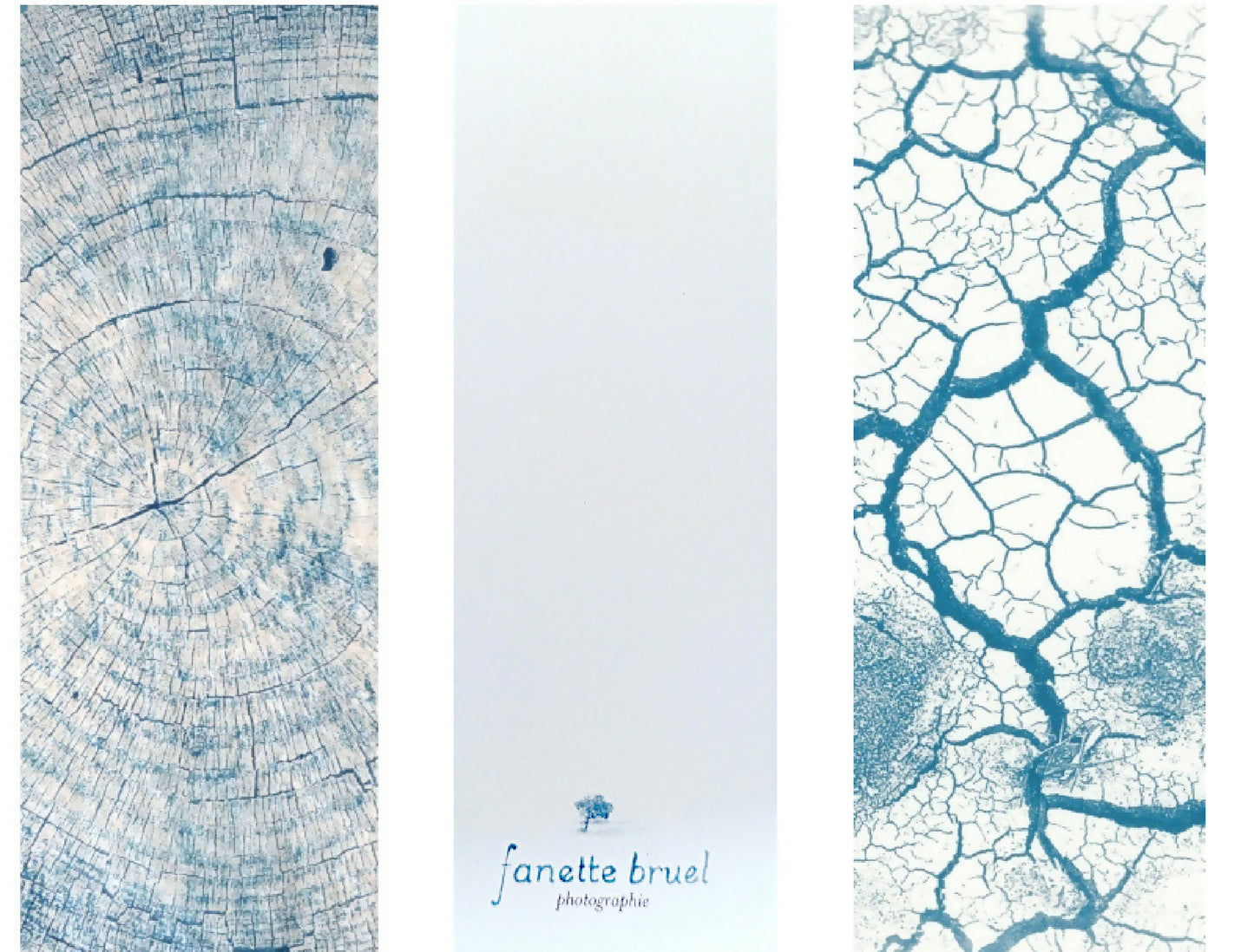 marque-page cyanotype fanette bruel