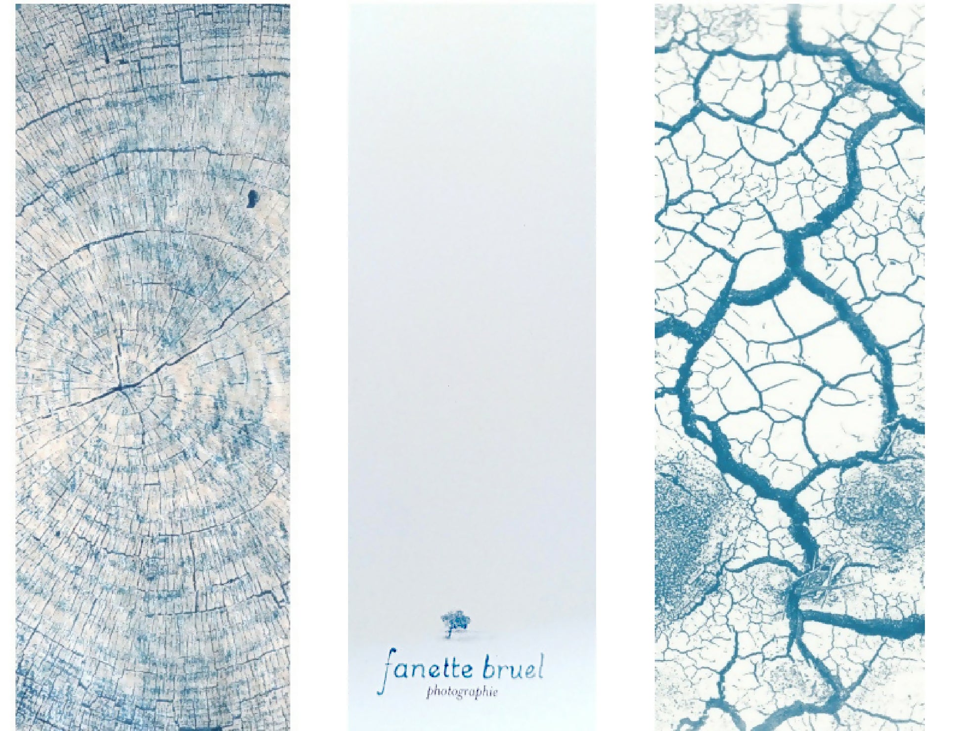 marque-page cyanotype fanette bruel