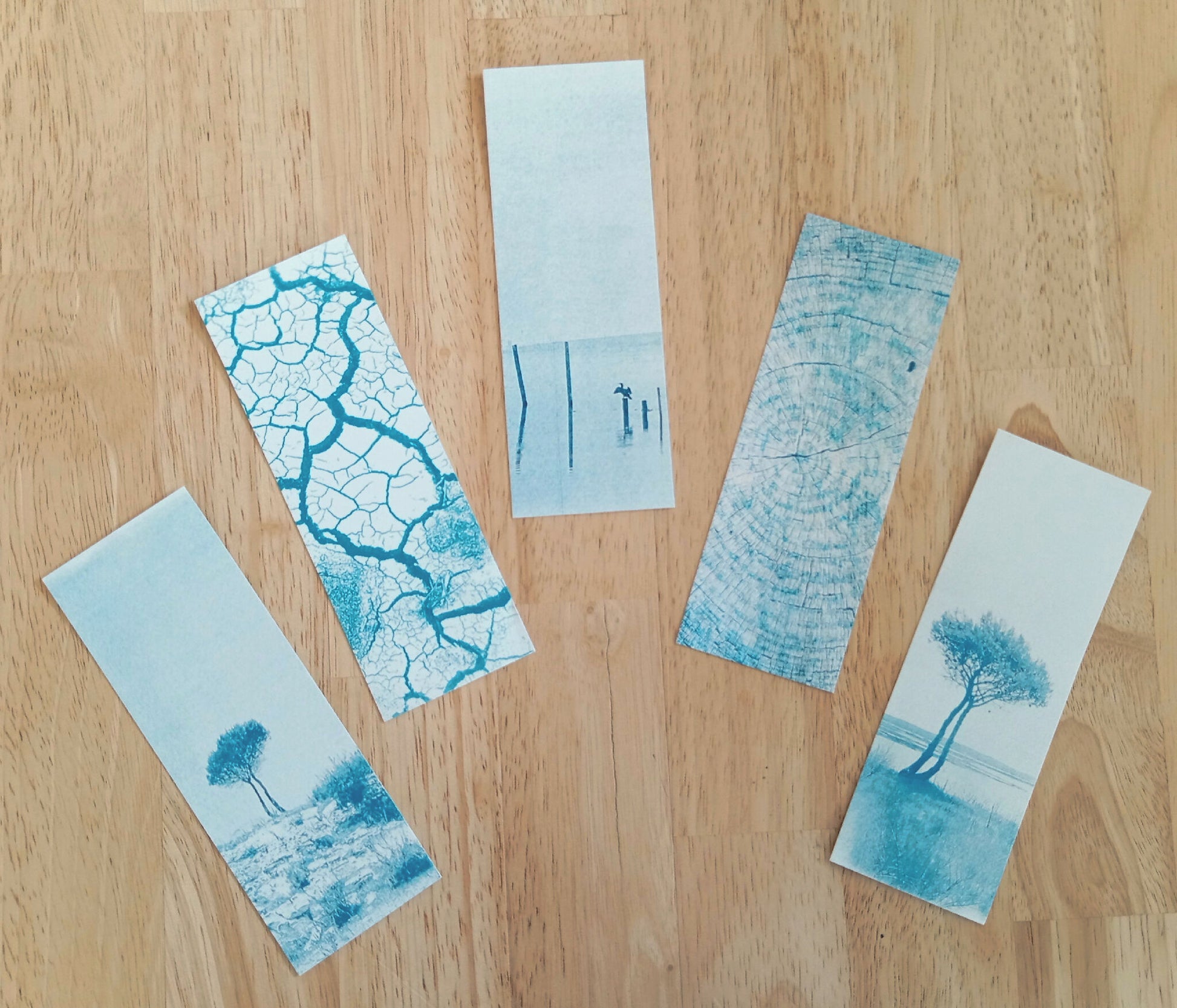 marque-page cyanotype fanette bruel