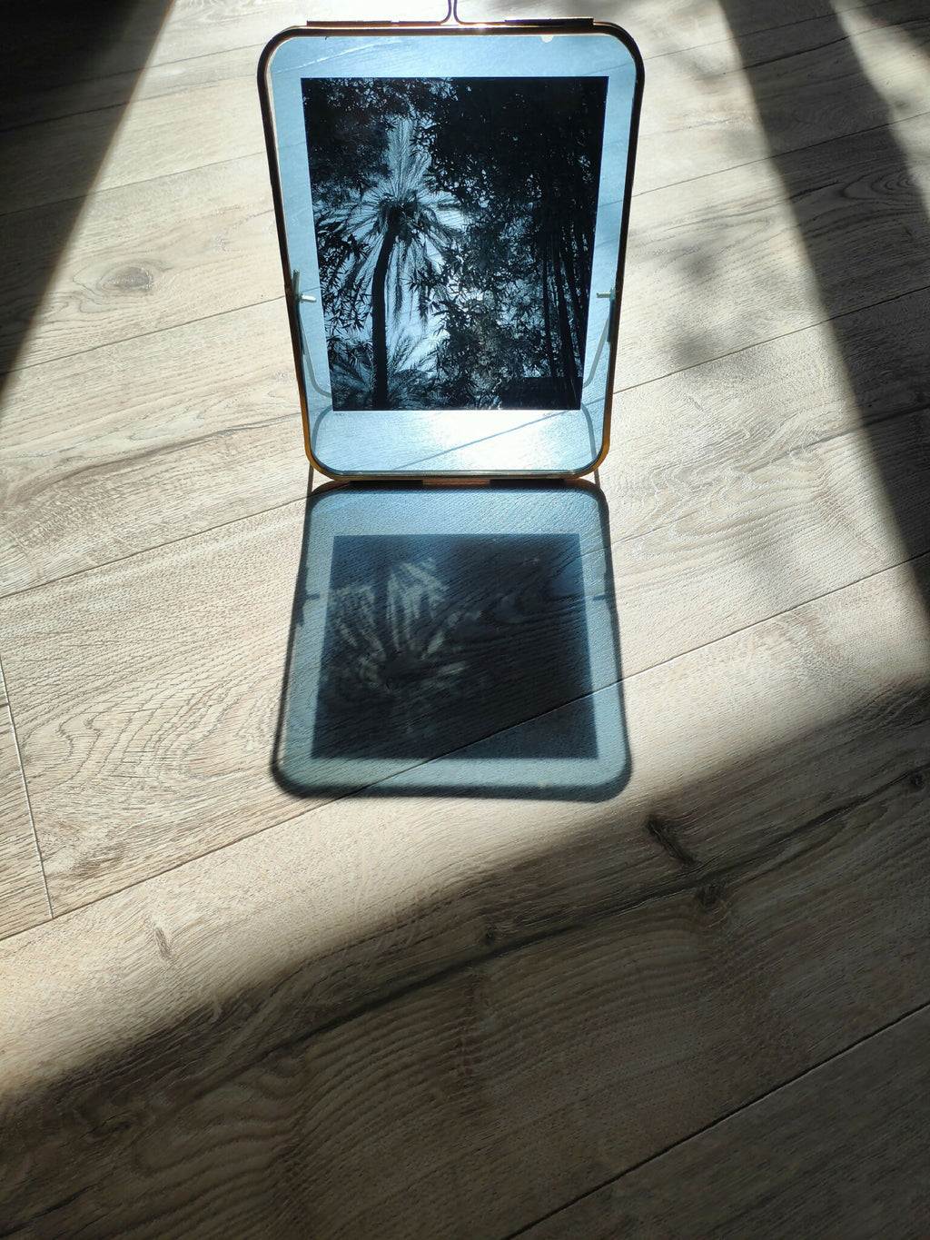 Cadre photo double ouvert, deux photos de palmier sur fond bleu