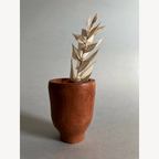 Petit pot haut en terre cuite et bouquet de feuilles séchées.