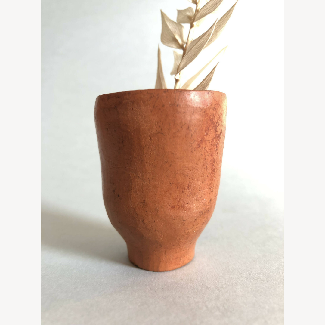 Petit pot haut terre cuite, plante décorative dressée avec feuilles.