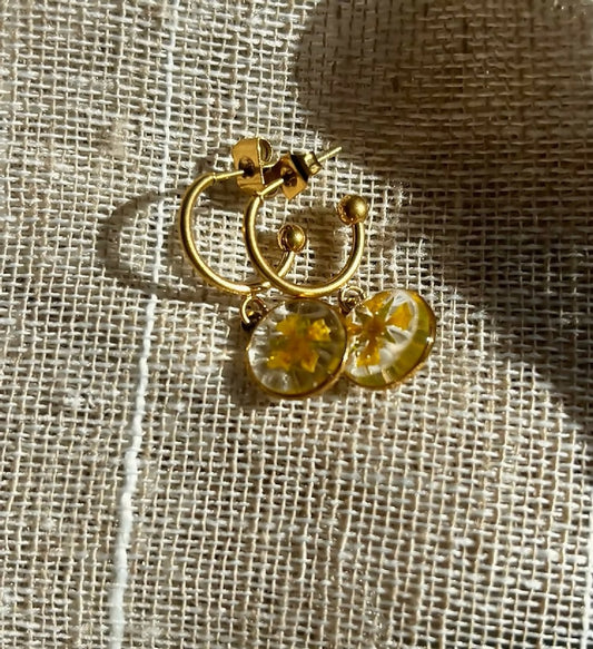 Boucles d'oreilles boutons d'or