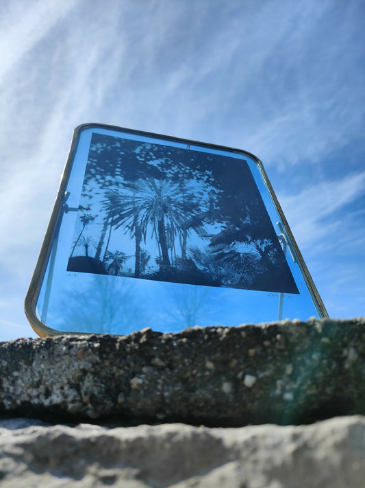 Marrakech végétal #2