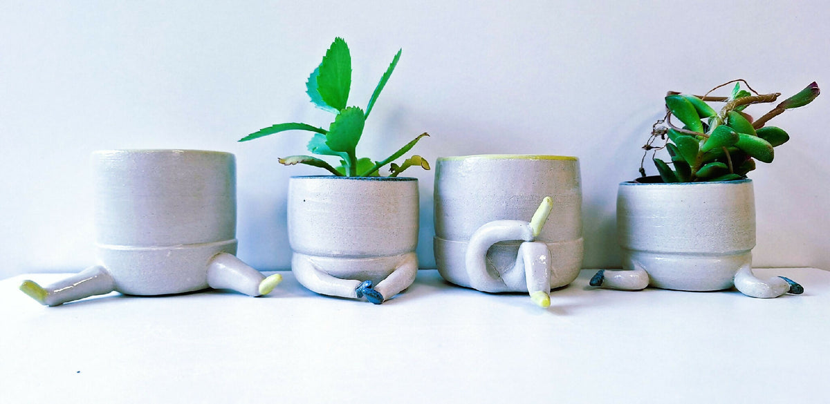 Ensemble de pots figuratifs en céramique blanche avec plantes vertes