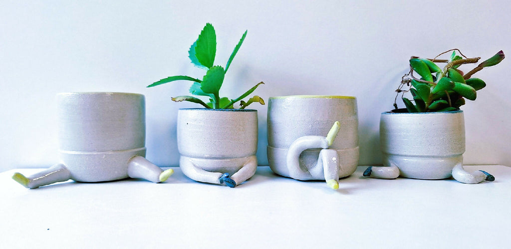 Ensemble de pots figuratifs en céramique blanche avec plantes vertes