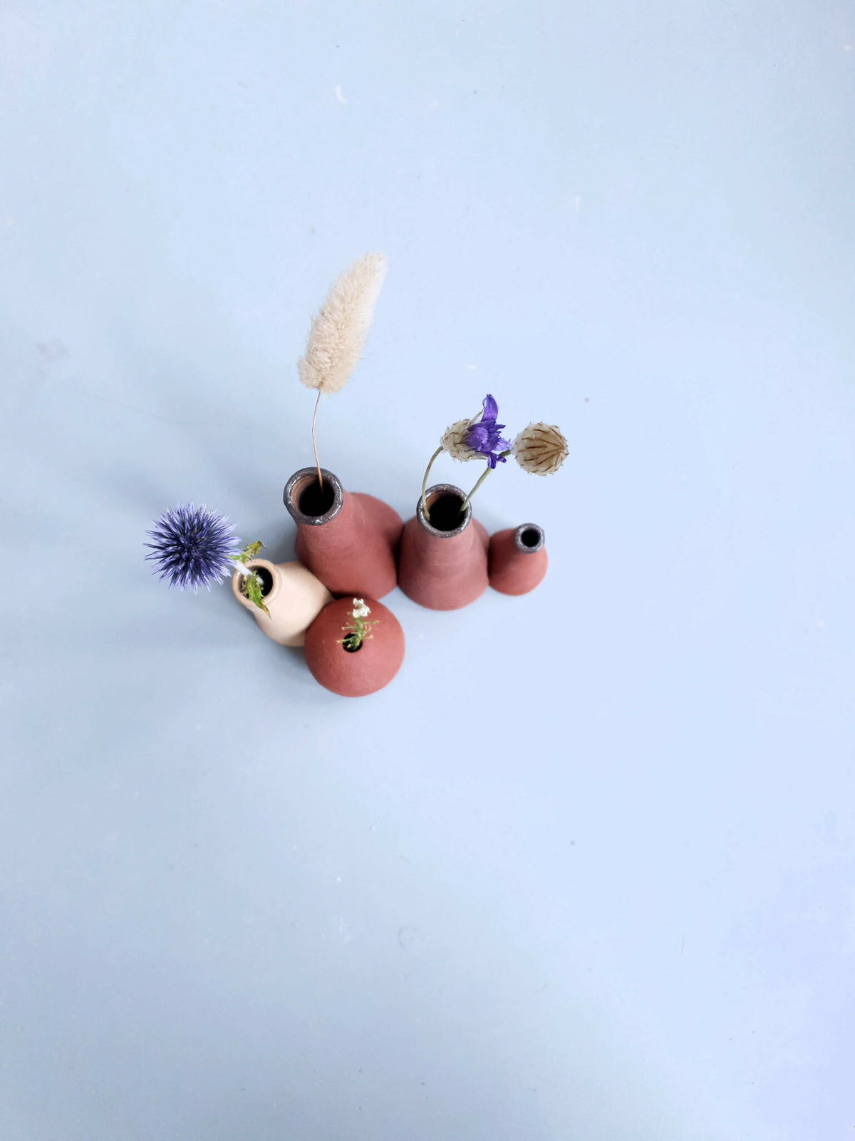 Cinq petits vases en céramique de hauteurs variées, terracotta et blanc, fleurs séchées