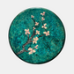 Fleurs de cerisier du Japon