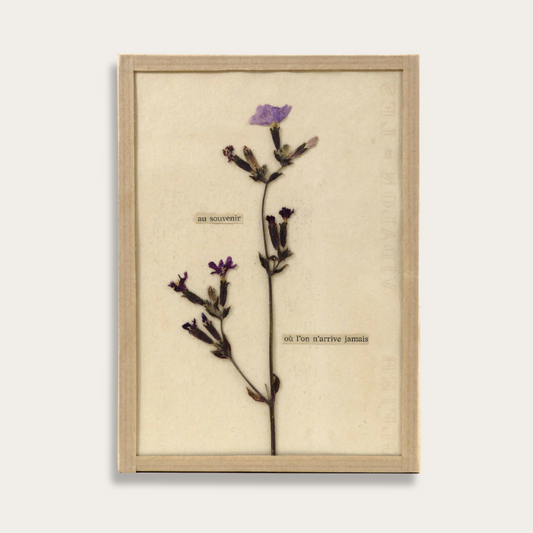 Oeuvre d'art floral - herbier contemporain fait-main par l'artiste