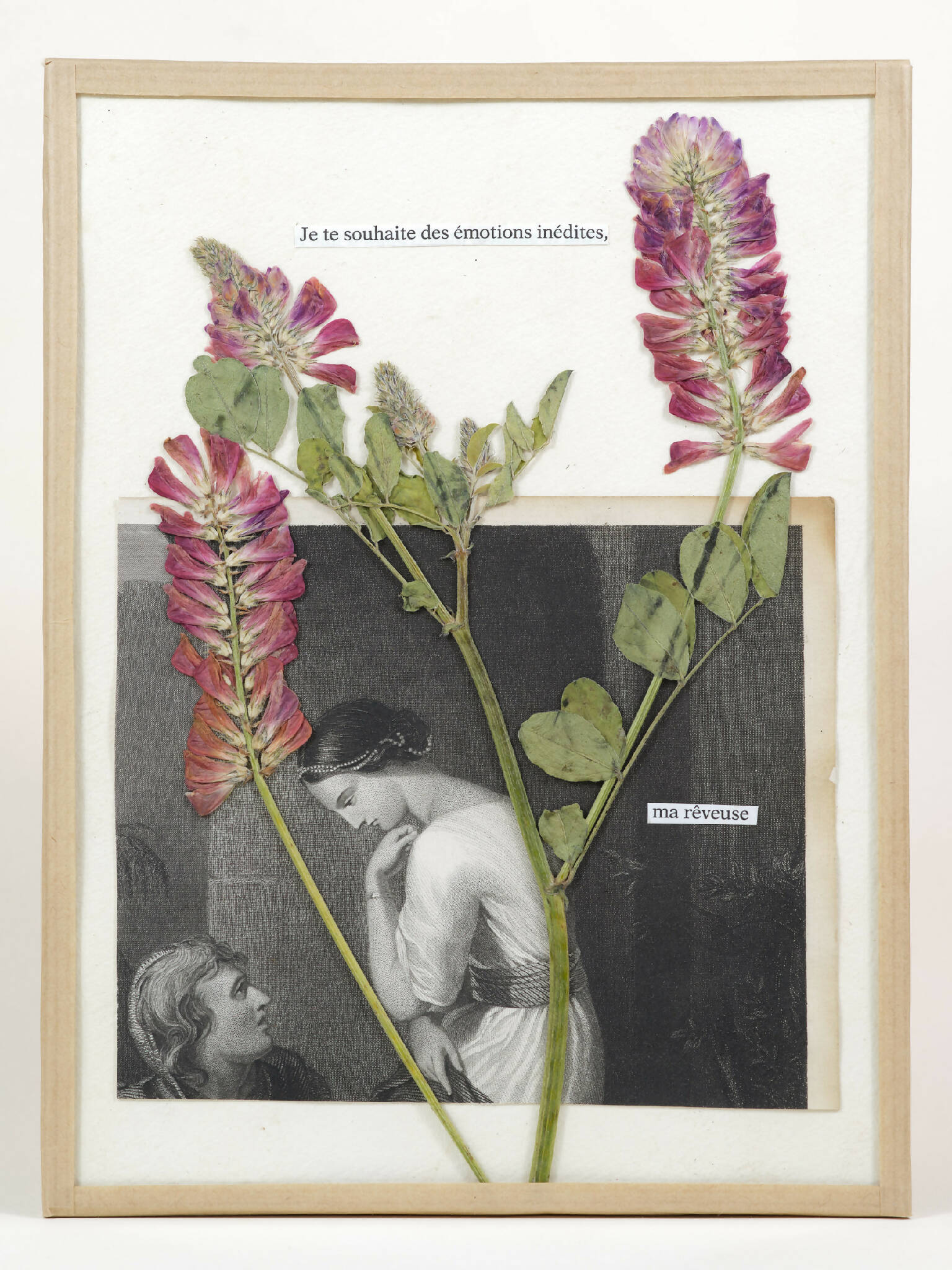 oeuvre d'art floral herbier contemporain fait-main La rêveuse- Artiste Chamboissier