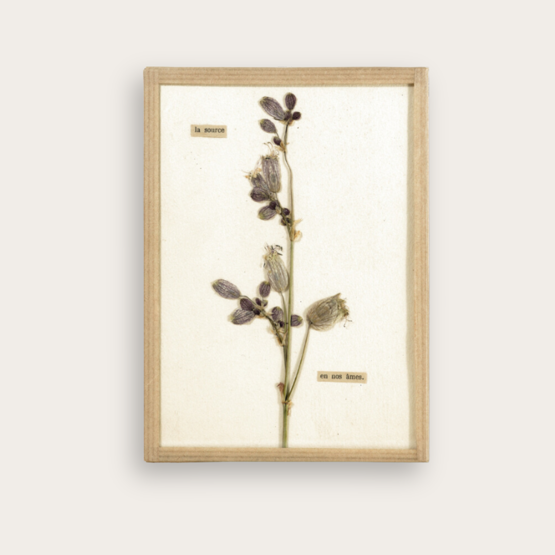 oeuvre d'art floral herbier contemporain fait-main La source - Artiste Chamboissier