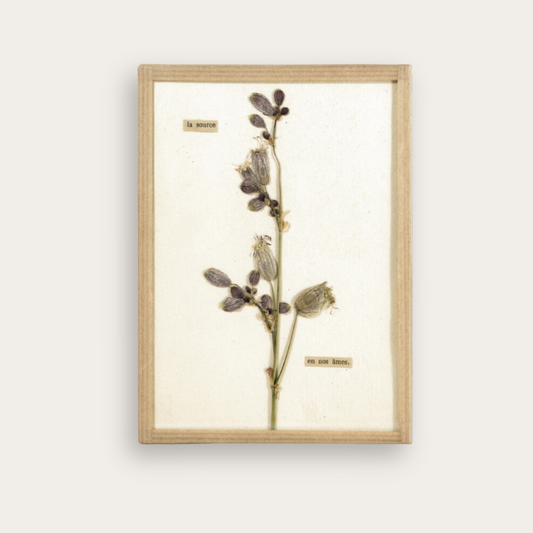 oeuvre d'art floral herbier contemporain fait-main La source - Artiste Chamboissier