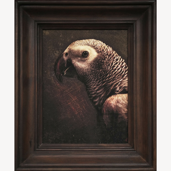 Tableau encadré avec perroquet de profil, grande tête détaillée, cadre brun