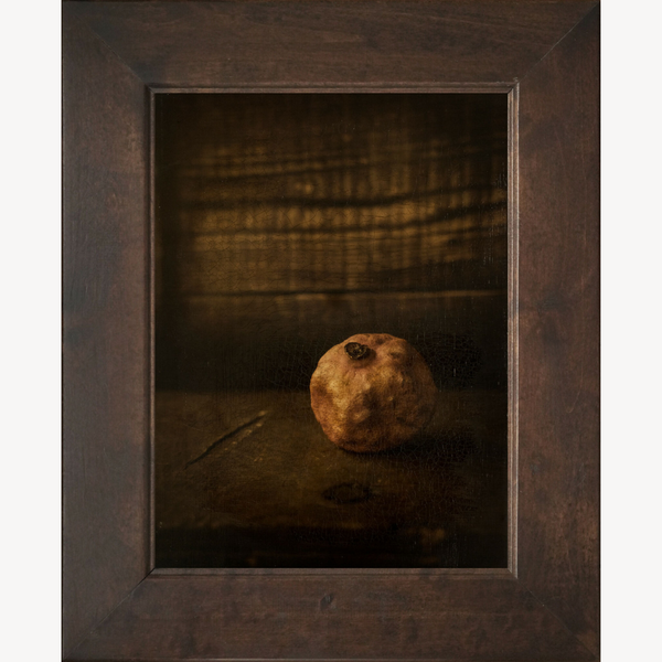 Tableau encadré avec vieille grenade au centre, tige visible, composition sur fond sombre.
