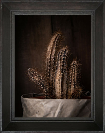 Photographie d'art, tirage d'art de nature morte