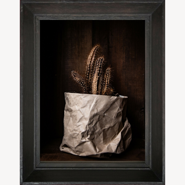 Cadre sombre contenant un cactus et un sac en papier froissé, vue complète