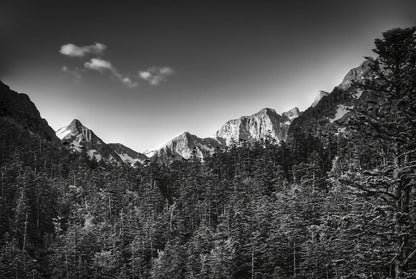 photographie-artistique-nature-morte-1_8