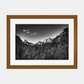 photographie-artistique-nature-morte-1_8