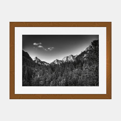 photographie-artistique-nature-morte-1_8