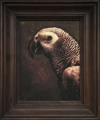 Photographie d'art, tirage d'art de nature morte, perroquet