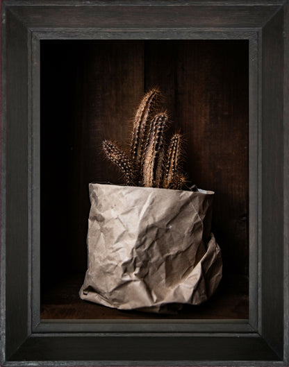 Photographie d'art, tirage d'art de nature morte