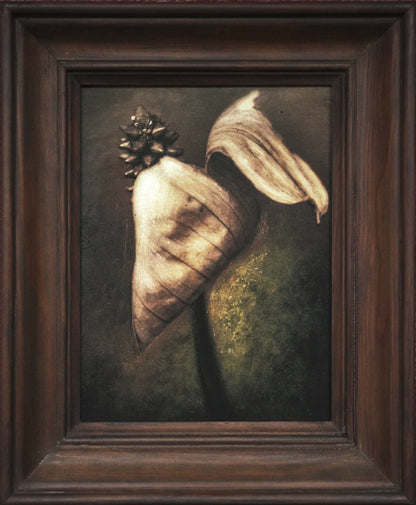 Photographie d'art, tirage d'art de nature morte