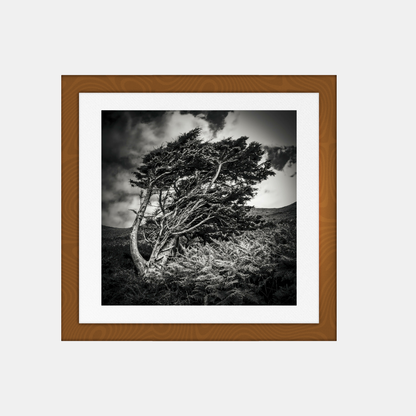 photographie-artistique-nature-morte-40