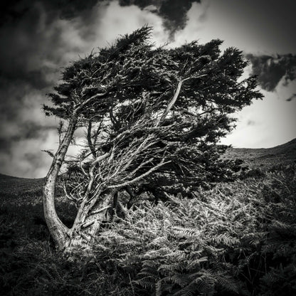 photographie-artistique-nature-morte-40