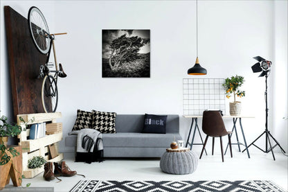 photographie-artistique-nature-morte-40