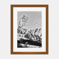 Photographie encadrée, cadre brun, montagnes enneigées en noir et blanc