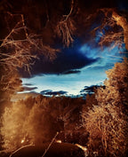 Livre de photographies : paysage nocturne, ciel bleu et lueurs orangées entre arbres.