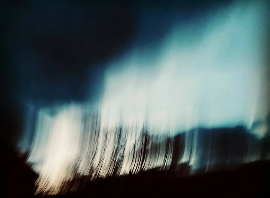 Livre de photographies : ciel bleu flou et rangée d’arbres sombre en contre-jour.