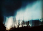 Livre de photographies : ciel bleu flou et rangée d’arbres sombre en contre-jour.