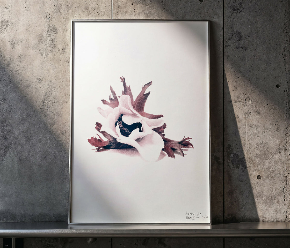 Affiche d’anémone blanche, bleu et mauve encadrée, format A3