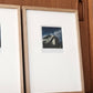 polaroid-6