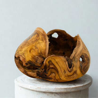 TENSION — Carapace