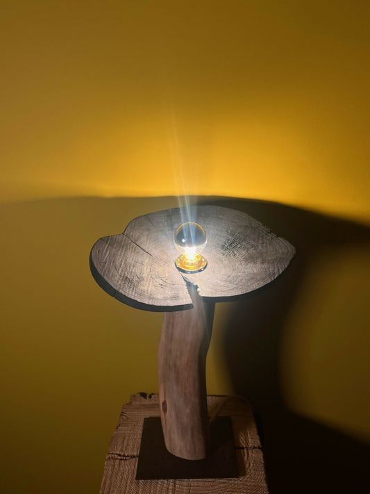 Sculpture lumineuse - Sous-Bois #3