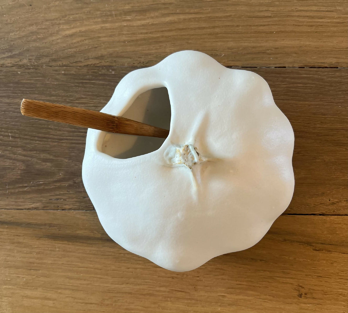 Pâtisson blanc en fleur de sel, posé sur planche avec bâton de bois