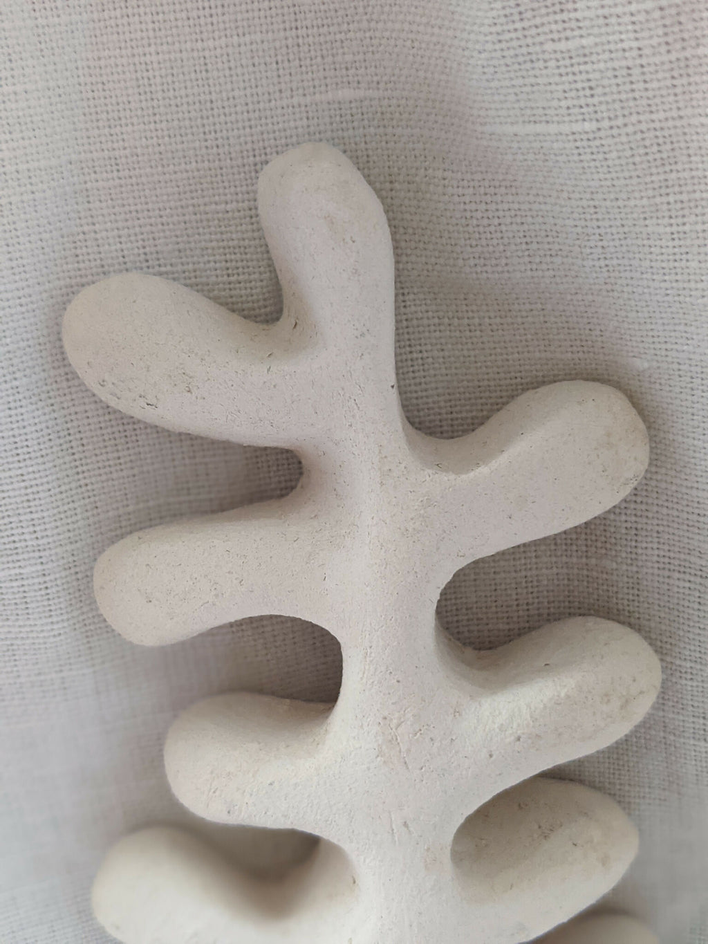 Sculpture d’algue blanche, vue rapprochée de la structure ajourée