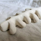 Sculpture d’algue blanche, détail des branches torsadées