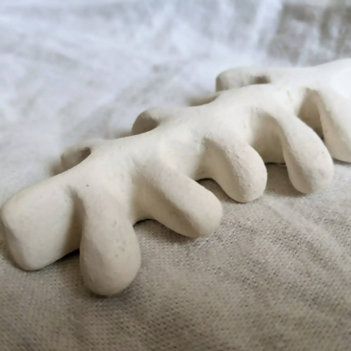 Sculpture d’algue blanche, détail des branches torsadées