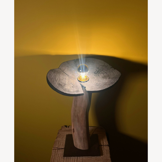 Sculpture lumineuse - Sous-Bois #3