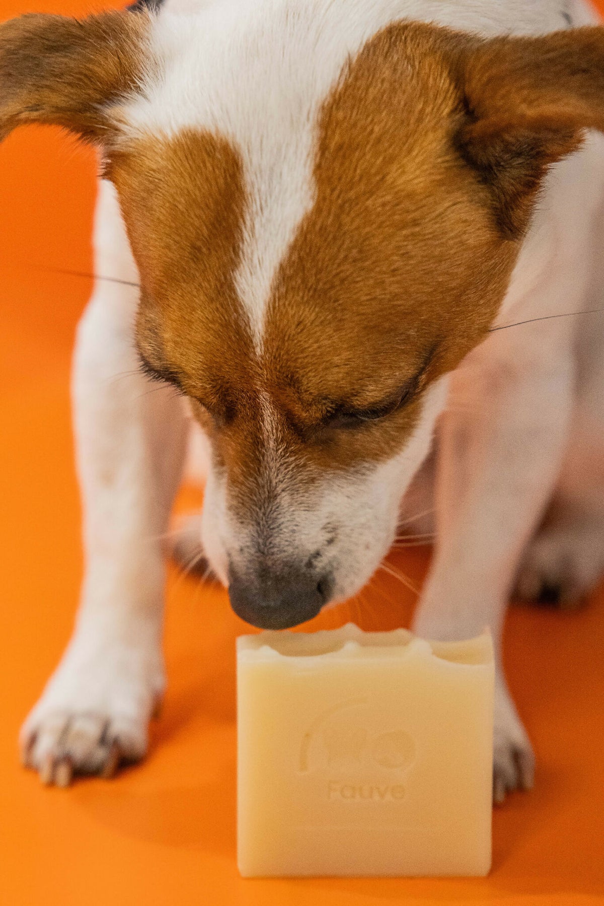 Shampooing solide naturel pour animaux Fauve, barre ivoire avec logo sur planche