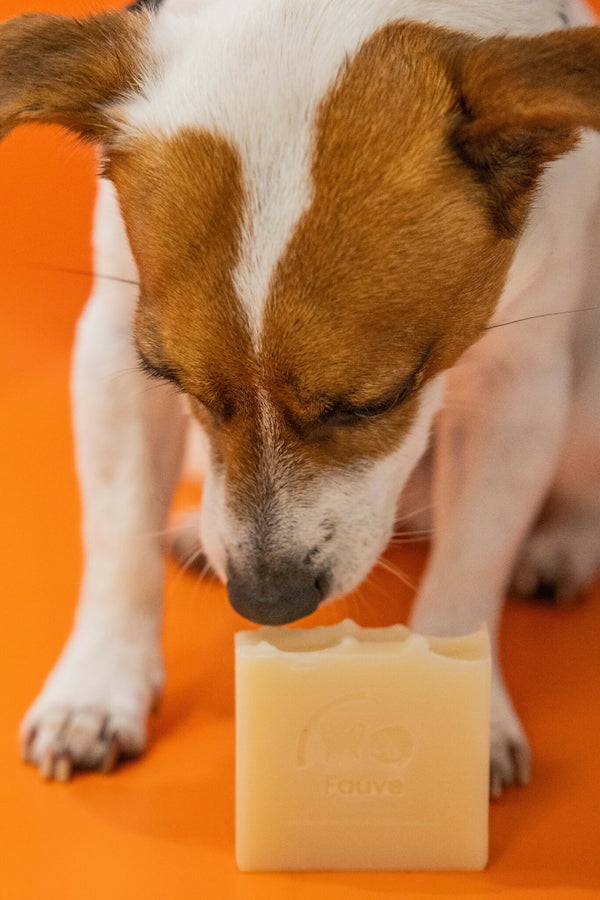 Shampooing solide naturel pour animaux Fauve, barre ivoire avec logo sur planche