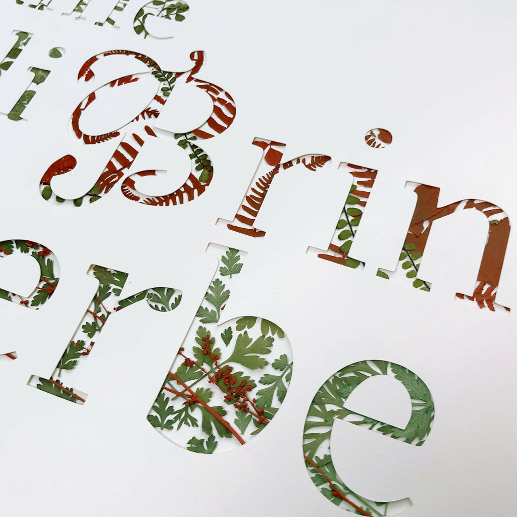 Tableau A3, gros plan sur lettres en plantes séchées vertes, brunes et rouges