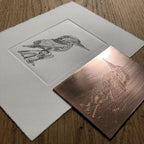 Tableaux martin-pêcheur : gravure noire sur papier blanc et motif brun cuivré réfléchissant.